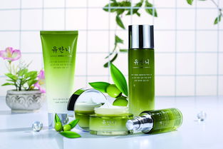 進口化妝品 配方合規、專業物流與清關流程全解析